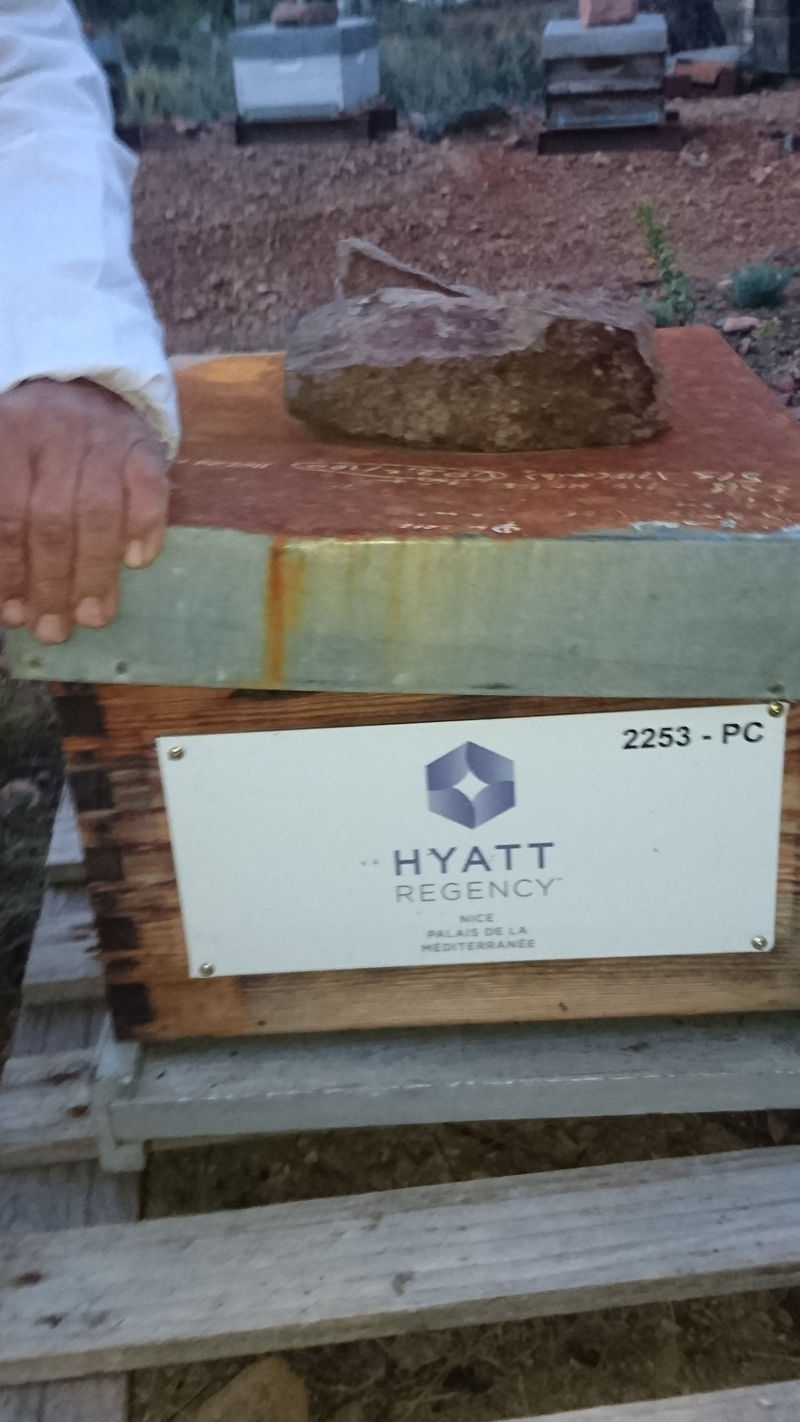 La ruche Hyatt regency nice palais de la mediterranee